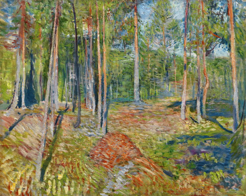 Pine Forest a Edvard Munch