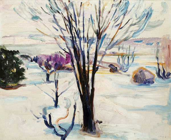 Winterlandschaft in Jeløya a Edvard Munch