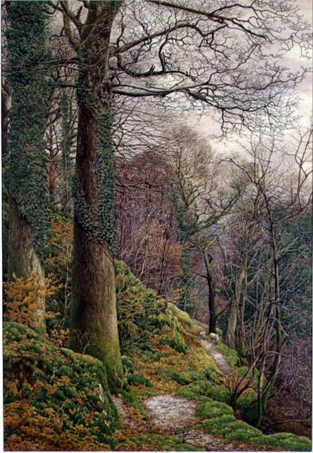 A Path in the Wood a Edward Bentley