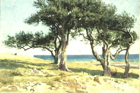 Old Olive Trees, Bordighera a Edwin Bale