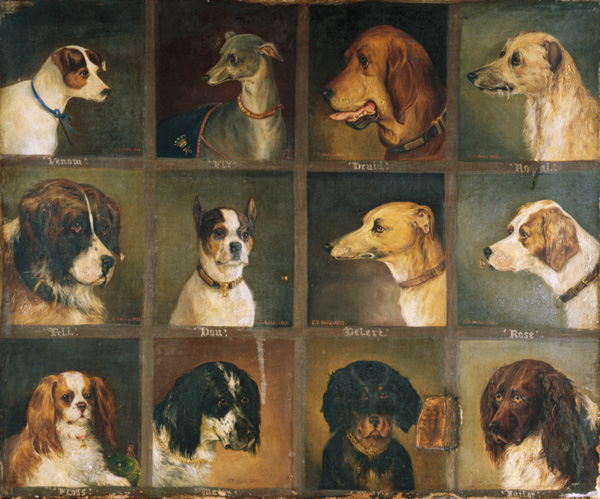 Twelve Favourite Dogs a Edwin Frederick Holt