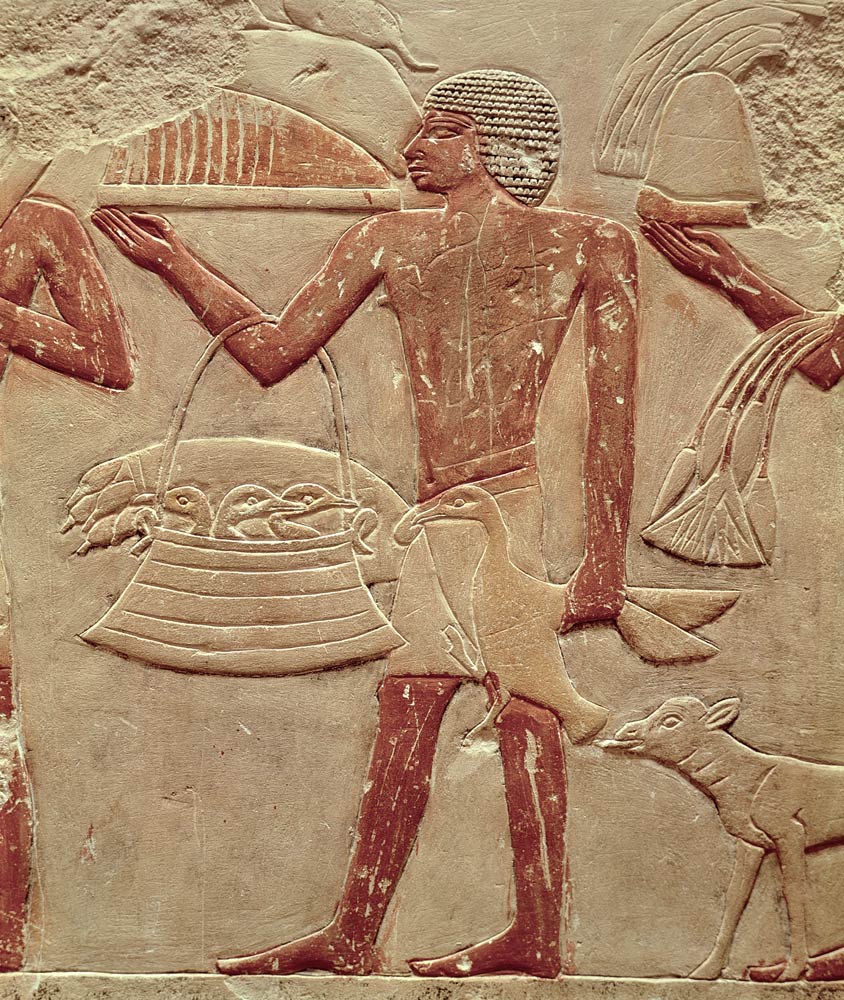 Relief depicting a porter with a basket of fledglings, from the Tomb of Princess Idut, Old Kingdom a Egizi