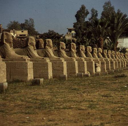 Avenue of Sphinxes, added by Nectanebo I (380-362 BC) Late Period a Egizi