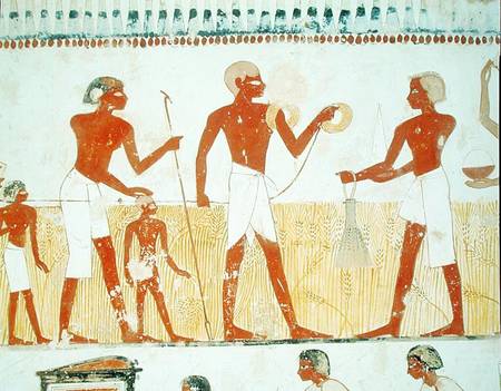 Measuring the land using rope, from the Tomb Chapel of Menna, New Kingdom a Egizi