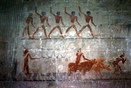 Men herding sheep and cattle from the Mastaba Chapel of Ti, Old Kingdom a Egizi