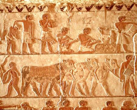 Painted relief depicting the posting of taxes and a group of cattle, Old Kingdom a Egizi