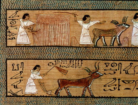 Reaping and ploughing, detail from a depiction of farming activities in the afterlife, from the Book a Egyptian 19th Dynasty
