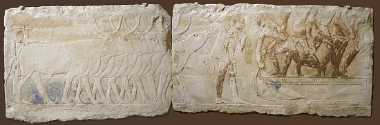Relief of Peasants Driving Cattle and Fishing, Old Kingdom, 2450-2290 BC a Egyptian School