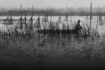 Stillness in the wetland