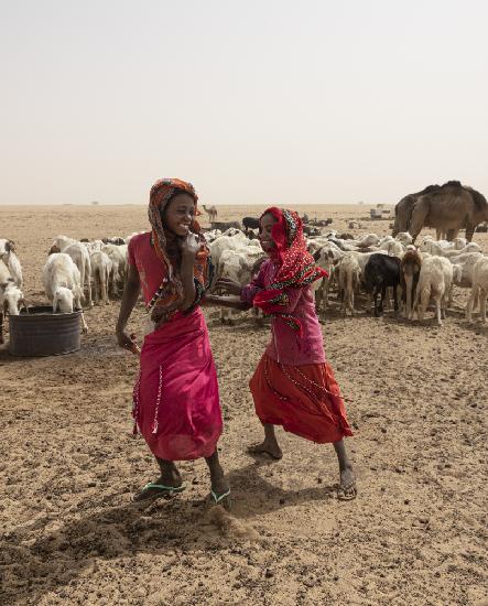 around a well at Borkou desert, Tchad