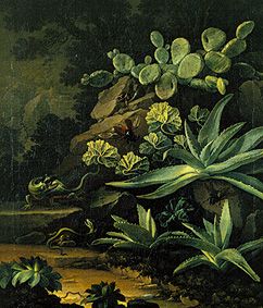 Cactuses and lizards a Elias van den Broeck