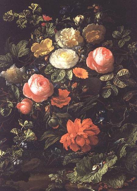 Still Life with Roses, Insects and Snails a Elias van den Broeck