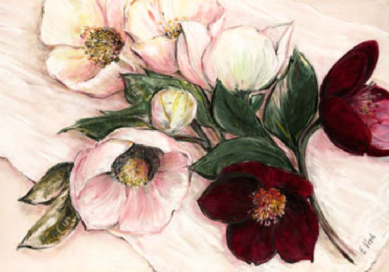 Elegant Anemones a Elisabeth Krobs