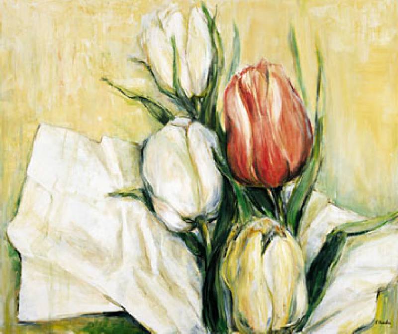 Tulipa Antica a Elisabeth Krobs