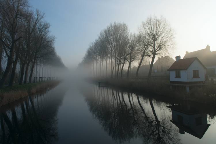 Mist across the Canal a Elisabeth Wehrmann