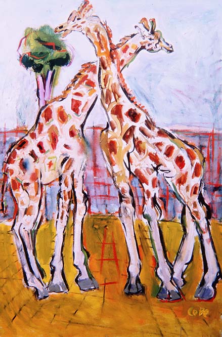 Giraffes in Dublin Zoo  a Elizabeth Cope
