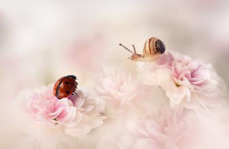 A beautiful day in summer