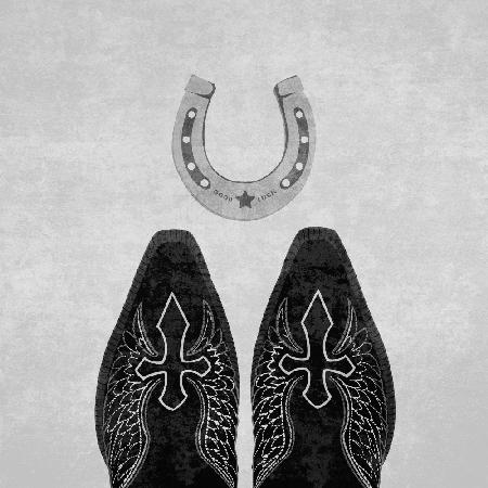 Bw Cowboy Boots and Horseshoe