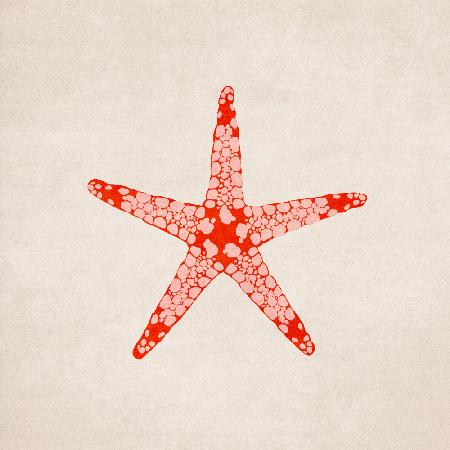 Sea Star