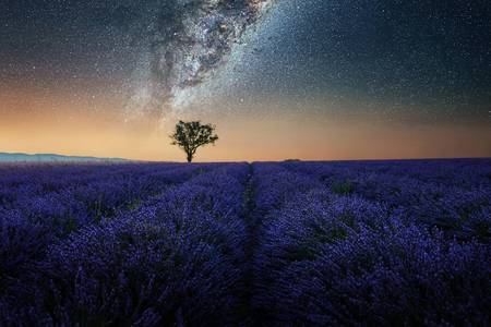 Night In Provence
