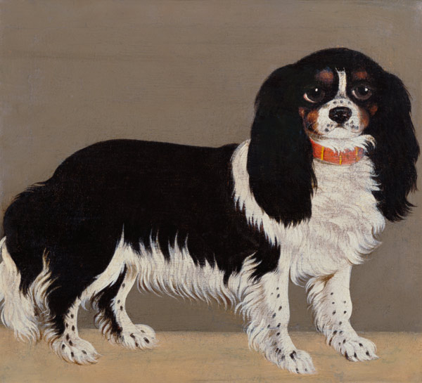 A Cavalier King Charles Spaniel (pair of 64045) a Scuola Inglese