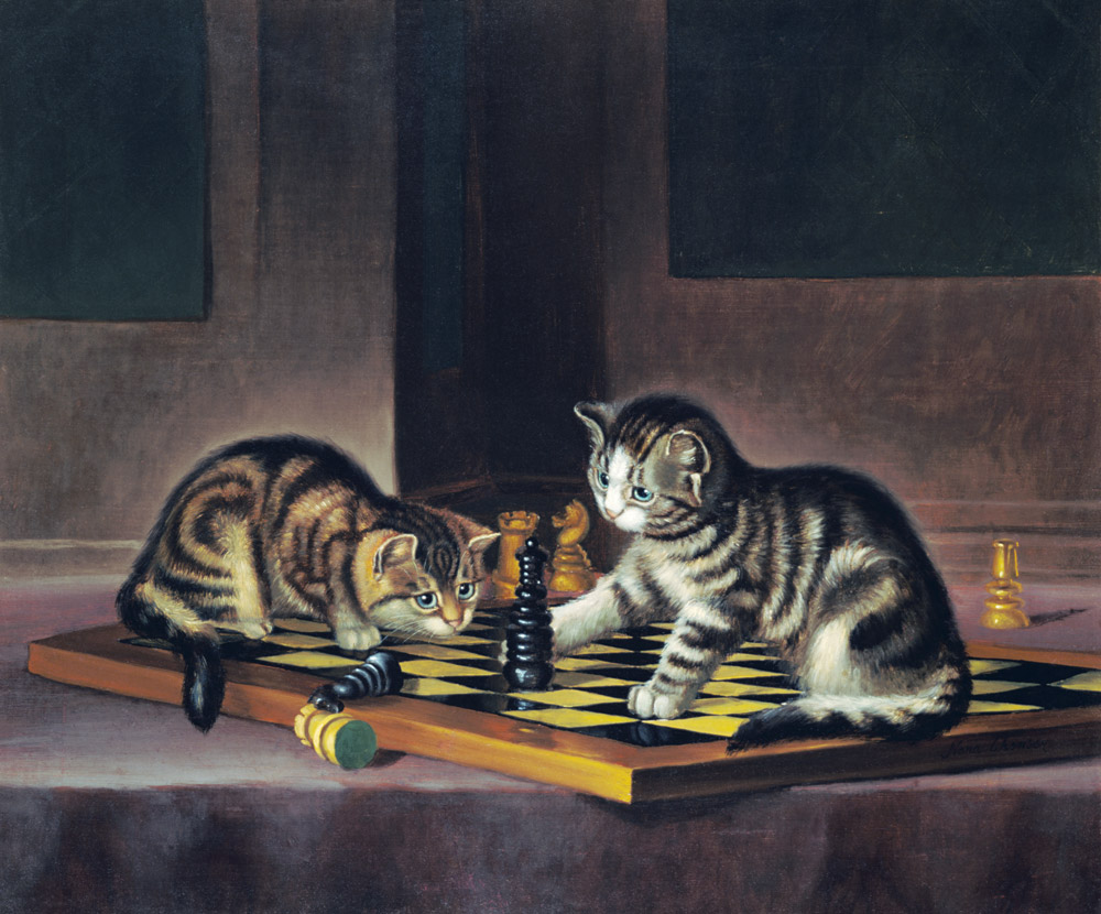 Kittens Playing Chess a Scuola Inglese