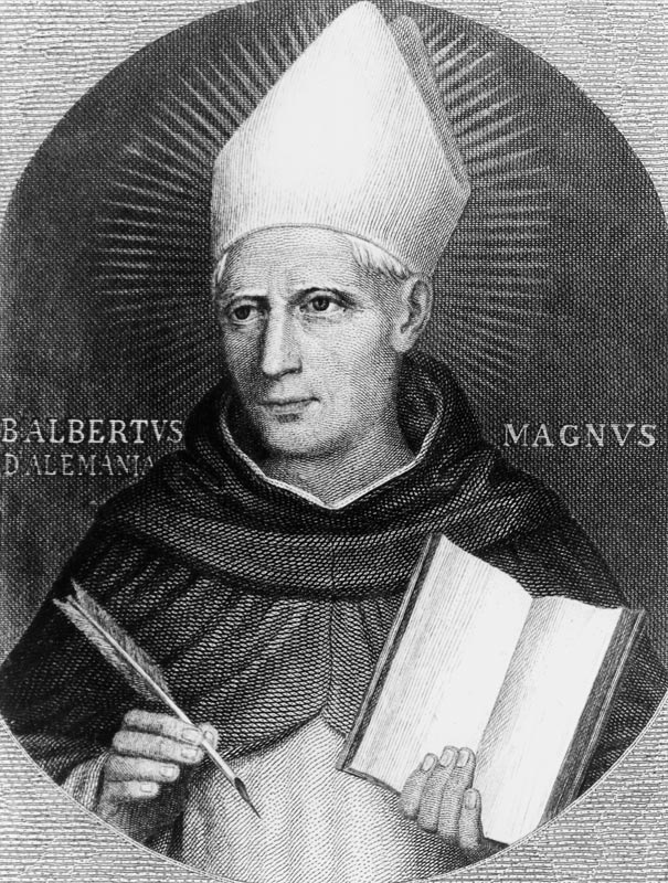 St Albertus Magnus a Scuola Inglese