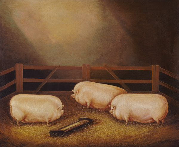 Three Prize Pigs outside a Sty a Scuola Inglese