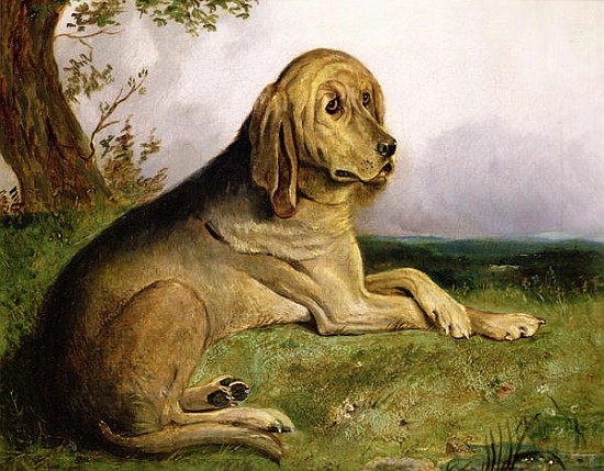 A Bloodhound in a Landscape a Scuola Inglese