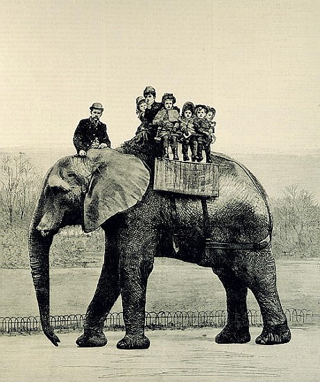 A Farewell Ride on Jumbo, from ''The Illustrated London News'', 18th March 1882 a Scuola Inglese