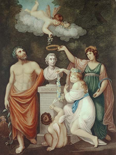 Aesculapius, Flora, Ceres and Cupid Honouring the Bust of Linnaeus, plate 17 from ''The Temple of Fl a Scuola Inglese
