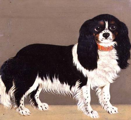 A Cavalier King Charles Spaniel with Puppies (pair of 64046) a Scuola Inglese