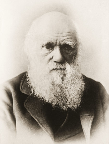Charles Darwin (litho)  a Scuola Inglese