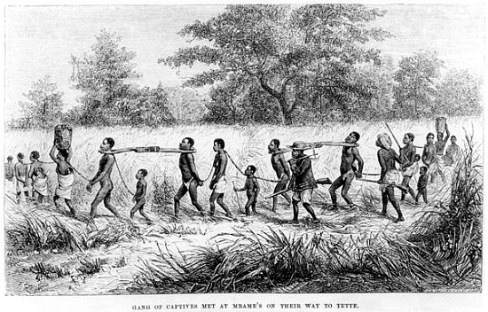 Gang of Captives Met at Mbame''s on their way to Tette; engraved by Josiah Wood Whymper (1813-1903) a Scuola Inglese