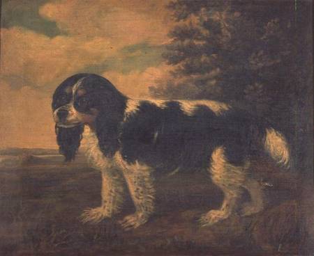 A King Charles Spaniel in a Landscape a Scuola Inglese