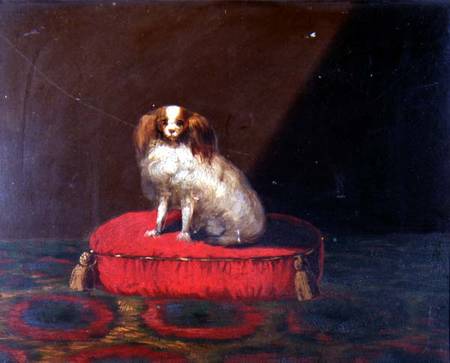 A King Charles Spaniel on a red cushion, Provincial School a Scuola Inglese