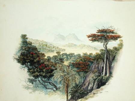 The Mountains, Ceylon  on a Scuola Inglese