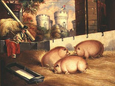 Three Pigs with Castle in the Background a Scuola Inglese
