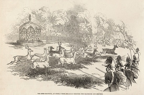 The Deer Shooting at Gotha: Deer breaking through the Chasseurs and Keepers, from ''The Illustrated  a Scuola Inglese