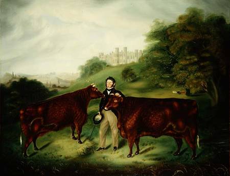 Thomas Ellman with Sussex Red Cattle a Scuola Inglese
