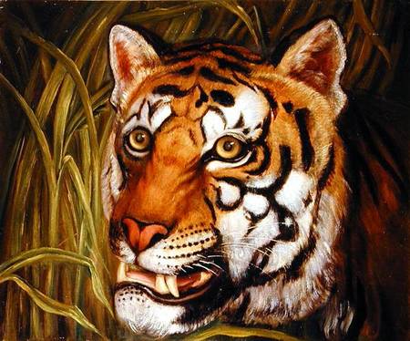 Tiger, tiger burning bright... a Scuola Inglese