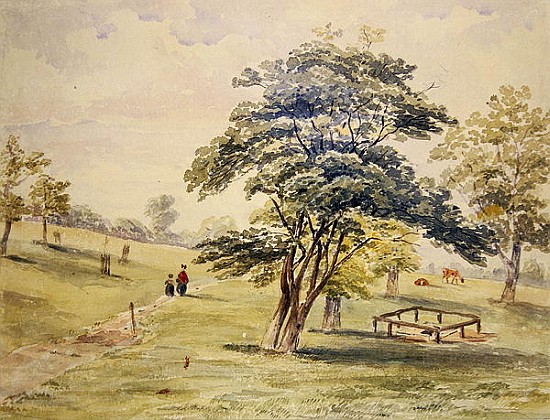 View of the North Part of Hyde Park a Scuola Inglese