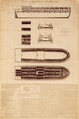 Plan and sections of a slave ship, published 1789 (engraving) a English School, (18th century)