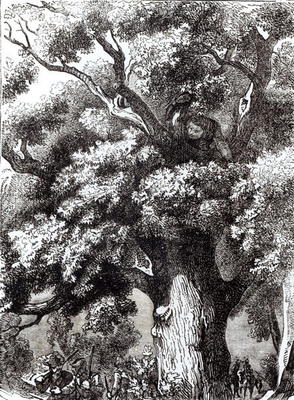 Charles II (1630-85) Hidden in the Oak Tree, 14th October 1651 (engraving) (b&w photo) a English School, (19th century)