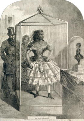 Miss Julia Pastrana, The Embalmed Nondescript, Exhibiting at 191 Piccadilly, 1862 (engraving) a English School, (19th century)