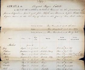 Prospect Sugar Estate, A Slave Return, 1820 (letterpress and pen & ink on paper)