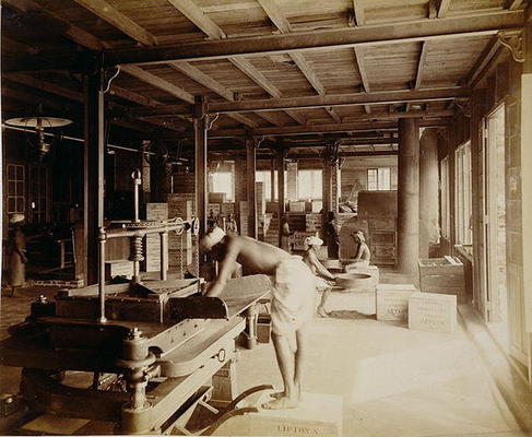 Tea pickers at the Lipton factory in Ceylon, c.1900 (photo) a English School, (20th century)