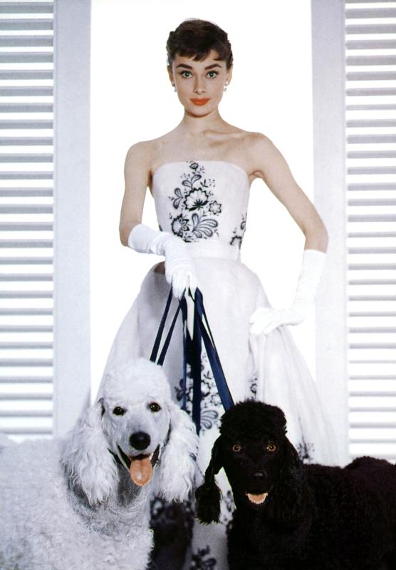 SABRINA de BillyWilder avec Audrey Hepburn a English Photographer, (20th century)