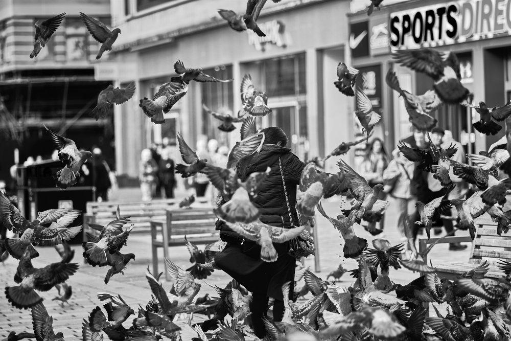 Feeding the pigeons a Enrico Zabeo