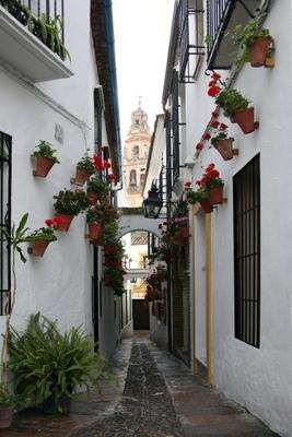 Gasse in Cordoba a Erich Teister
